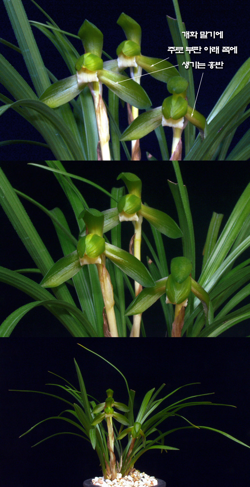 ������ ū������ �� �� �ֽ��ϴ�.