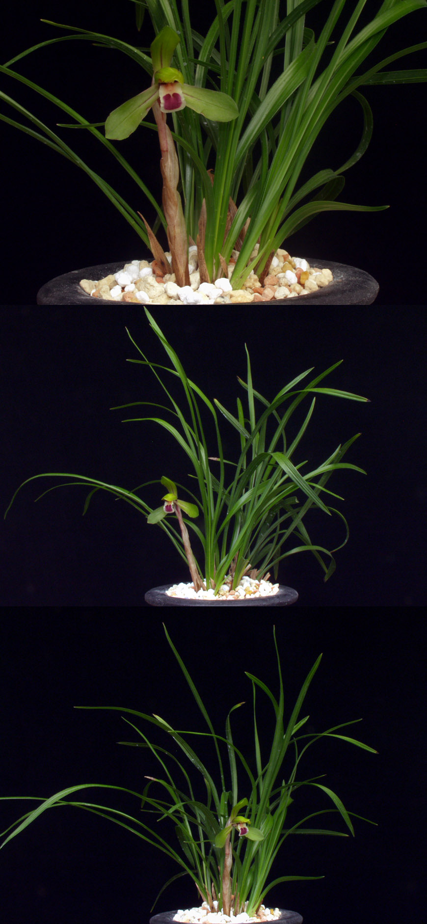 ������ ū������ �� �� �ֽ��ϴ�.