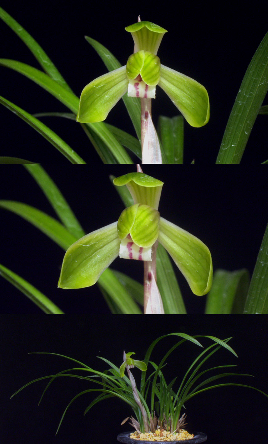 ������ ū������ �� �� �ֽ��ϴ�.