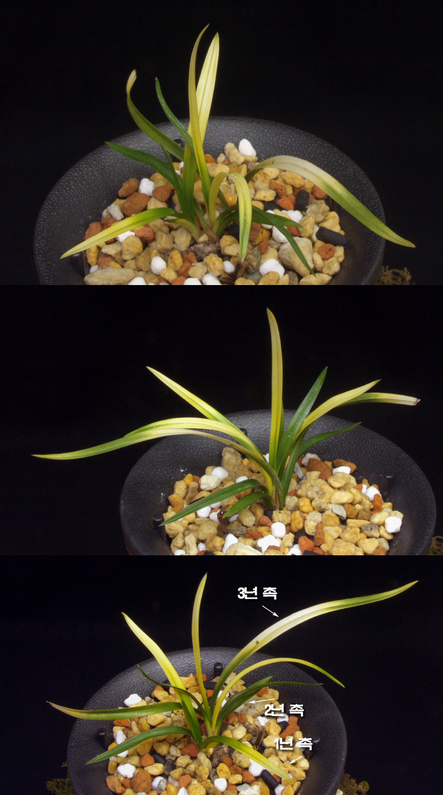 ������ ū������ �� �� �ֽ��ϴ�.