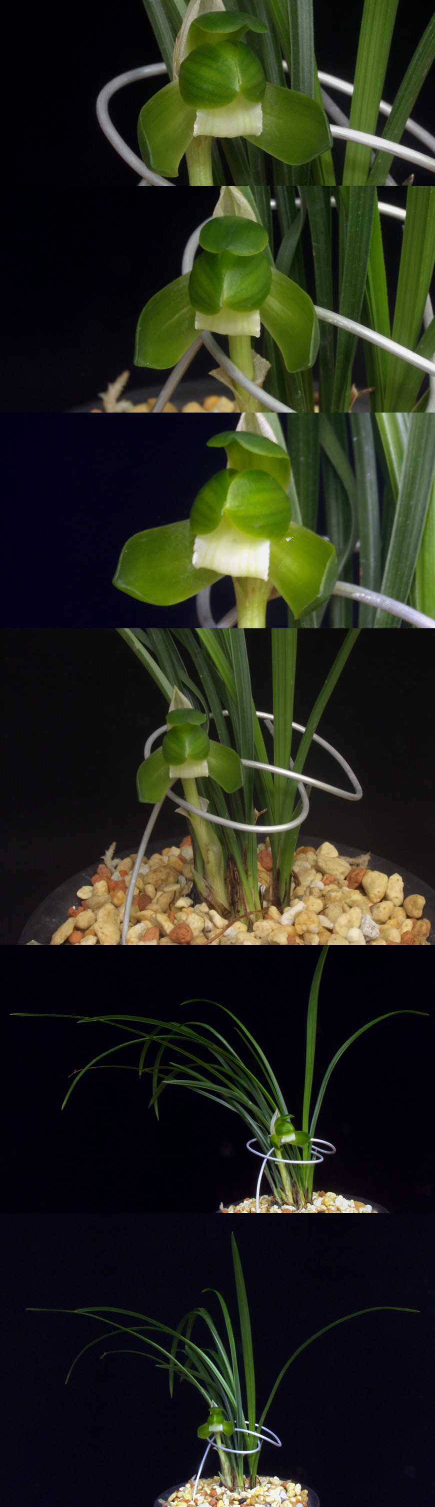 ������ ū������ �� �� �ֽ��ϴ�.