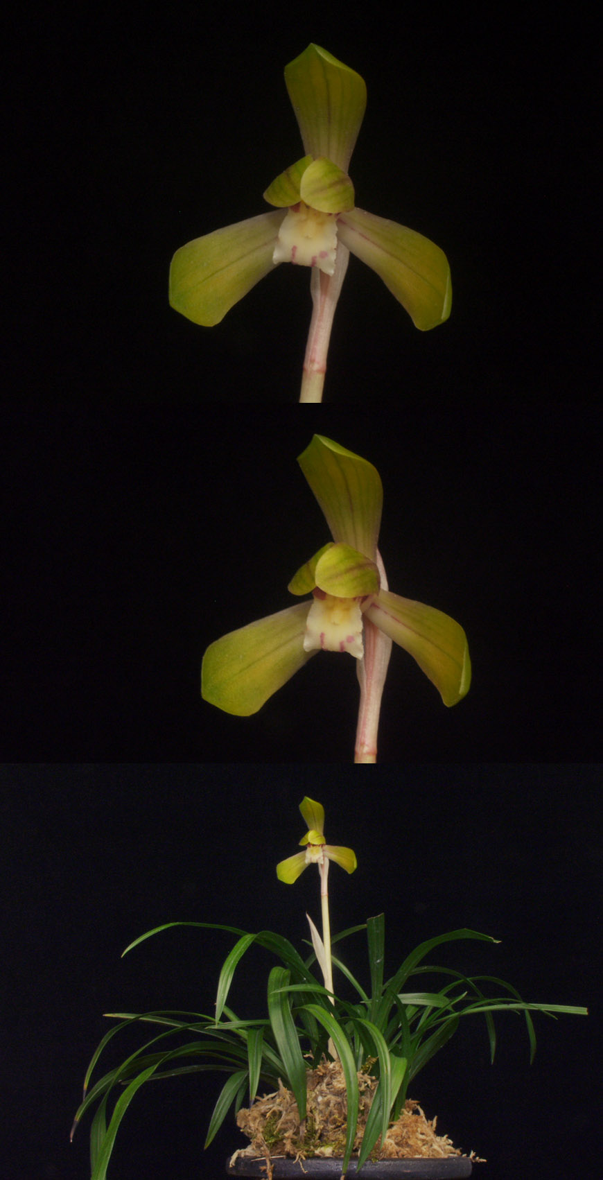 ������ ū������ �� �� �ֽ��ϴ�.