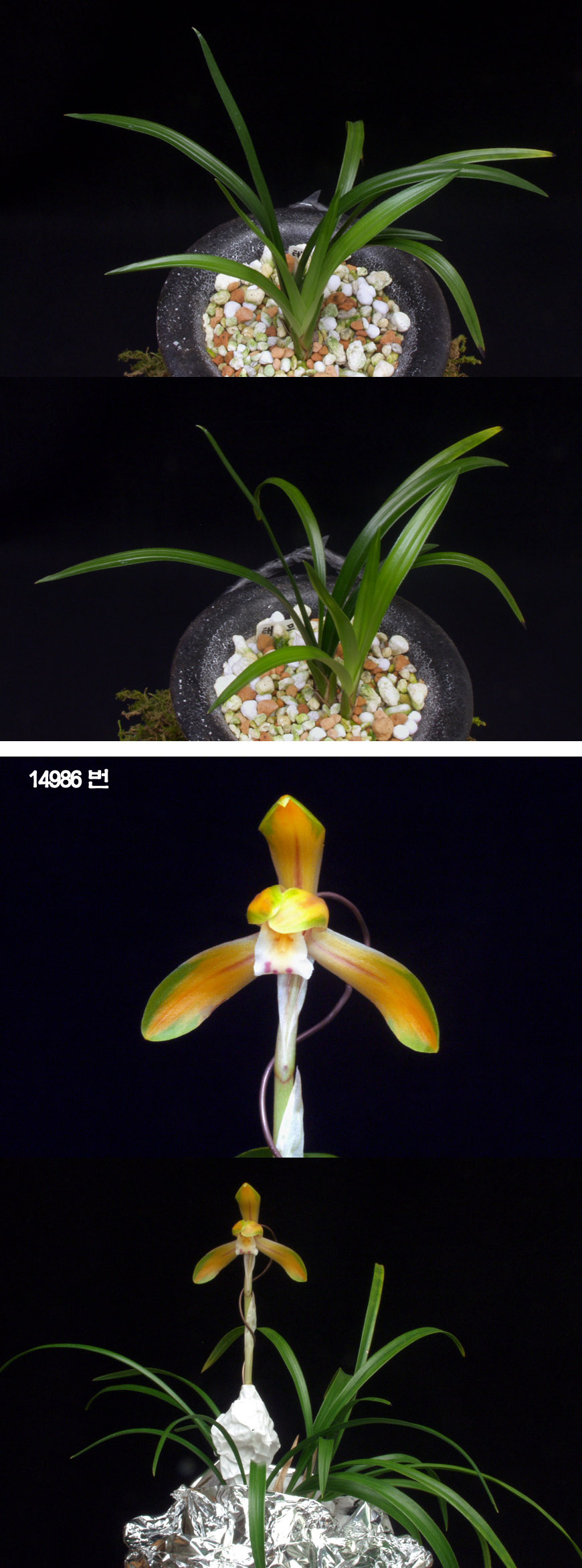 ������ ū������ �� �� �ֽ��ϴ�.