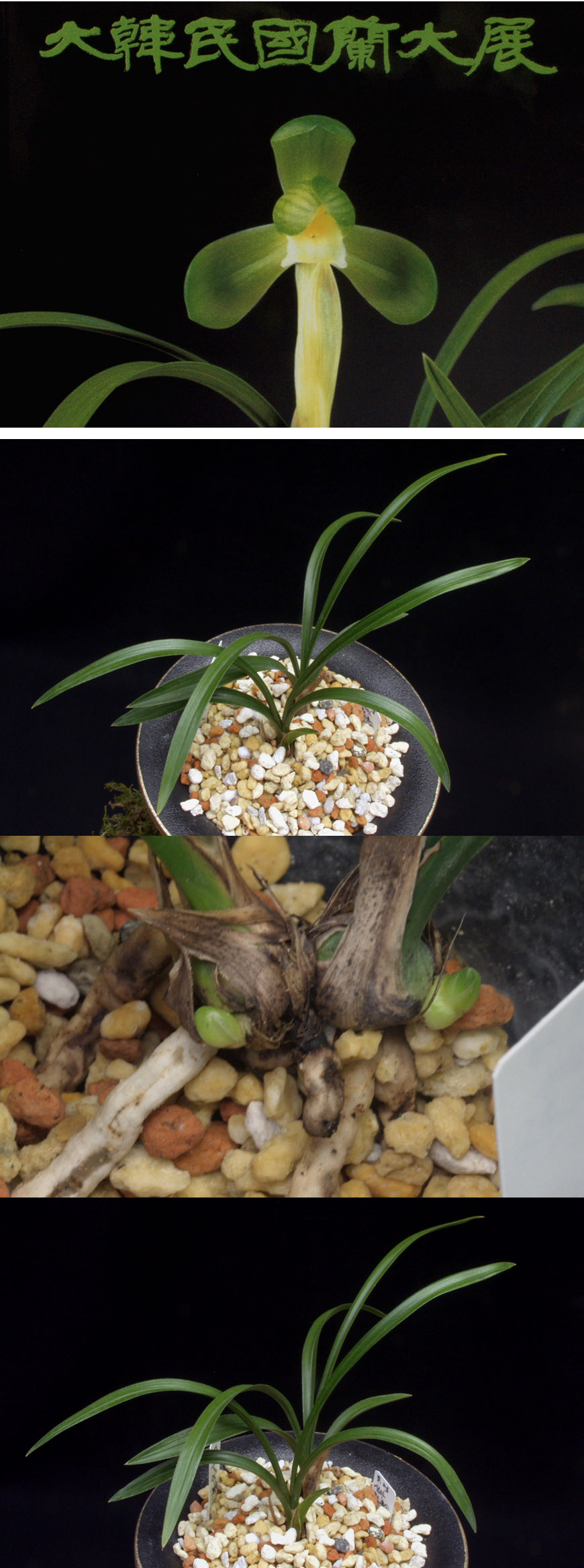 ������ ū������ �� �� �ֽ��ϴ�.