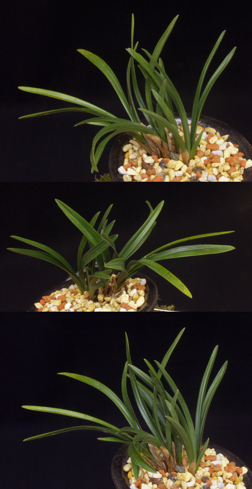 ������ ū������ �� �� �ֽ��ϴ�.