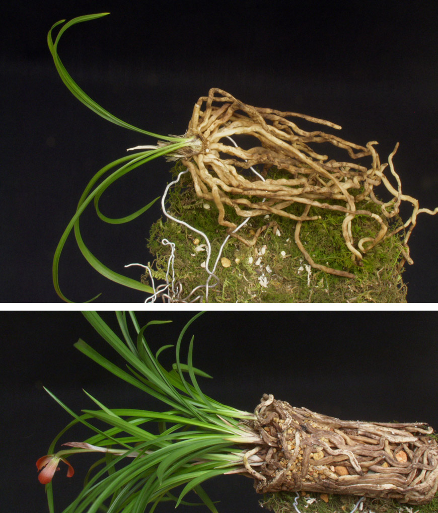 ������ ū������ �� �� �ֽ��ϴ�.