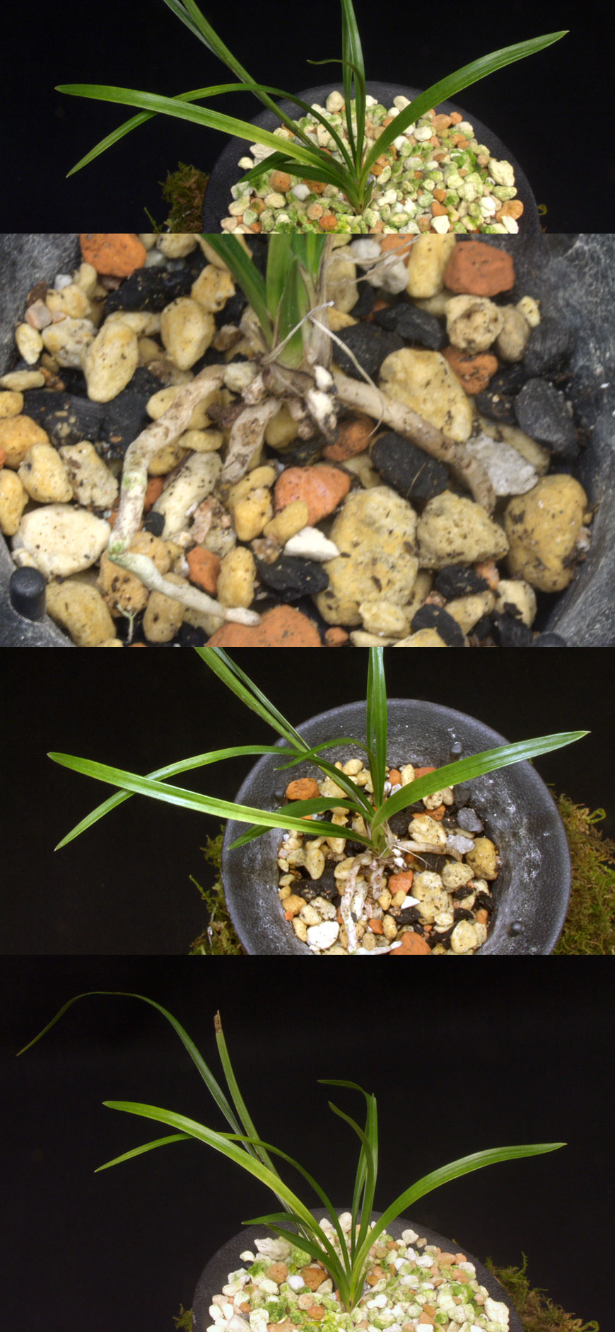 ������ ū������ �� �� �ֽ��ϴ�.