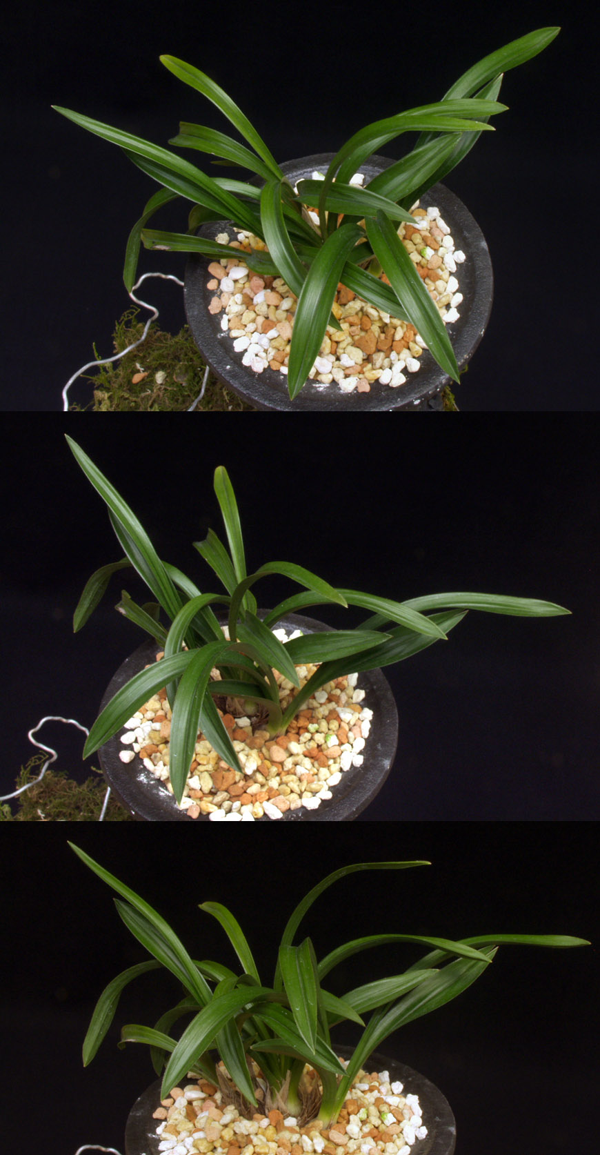 ������ ū������ �� �� �ֽ��ϴ�.