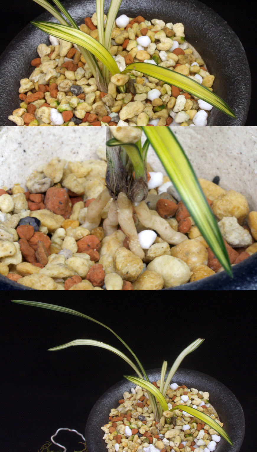 ������ ū������ �� �� �ֽ��ϴ�.