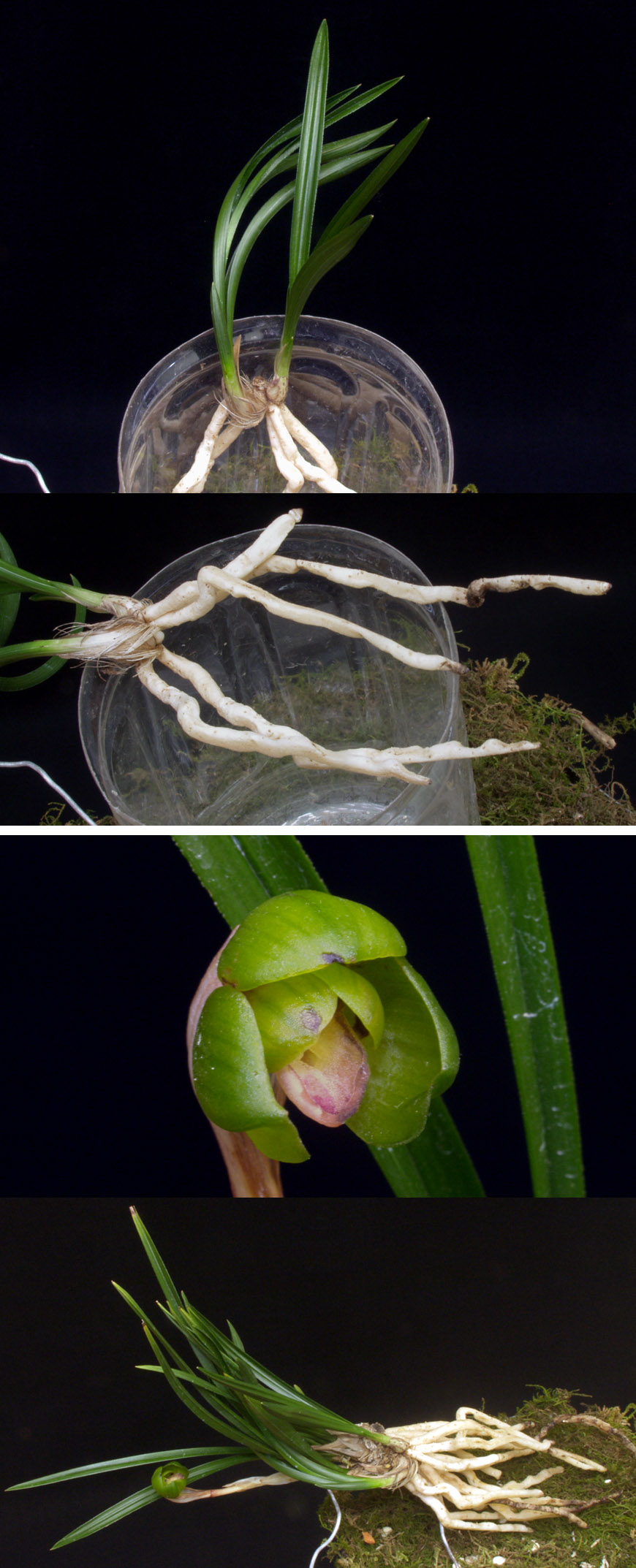 ������ ū������ �� �� �ֽ��ϴ�.