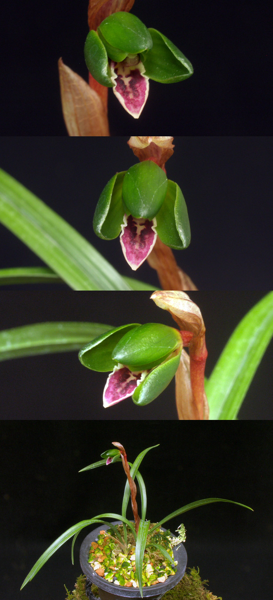 ������ ū������ �� �� �ֽ��ϴ�.