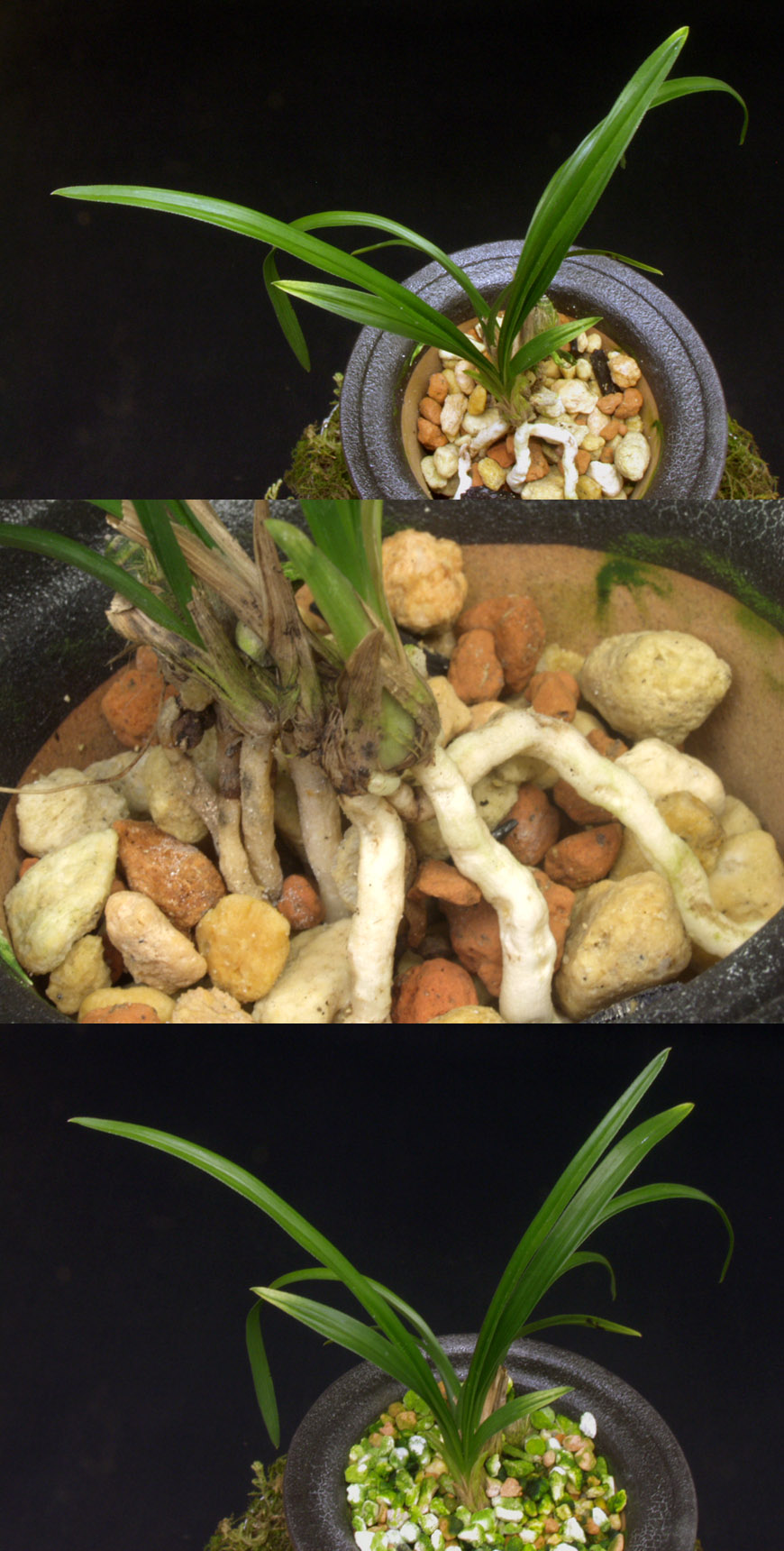 ������ ū������ �� �� �ֽ��ϴ�.