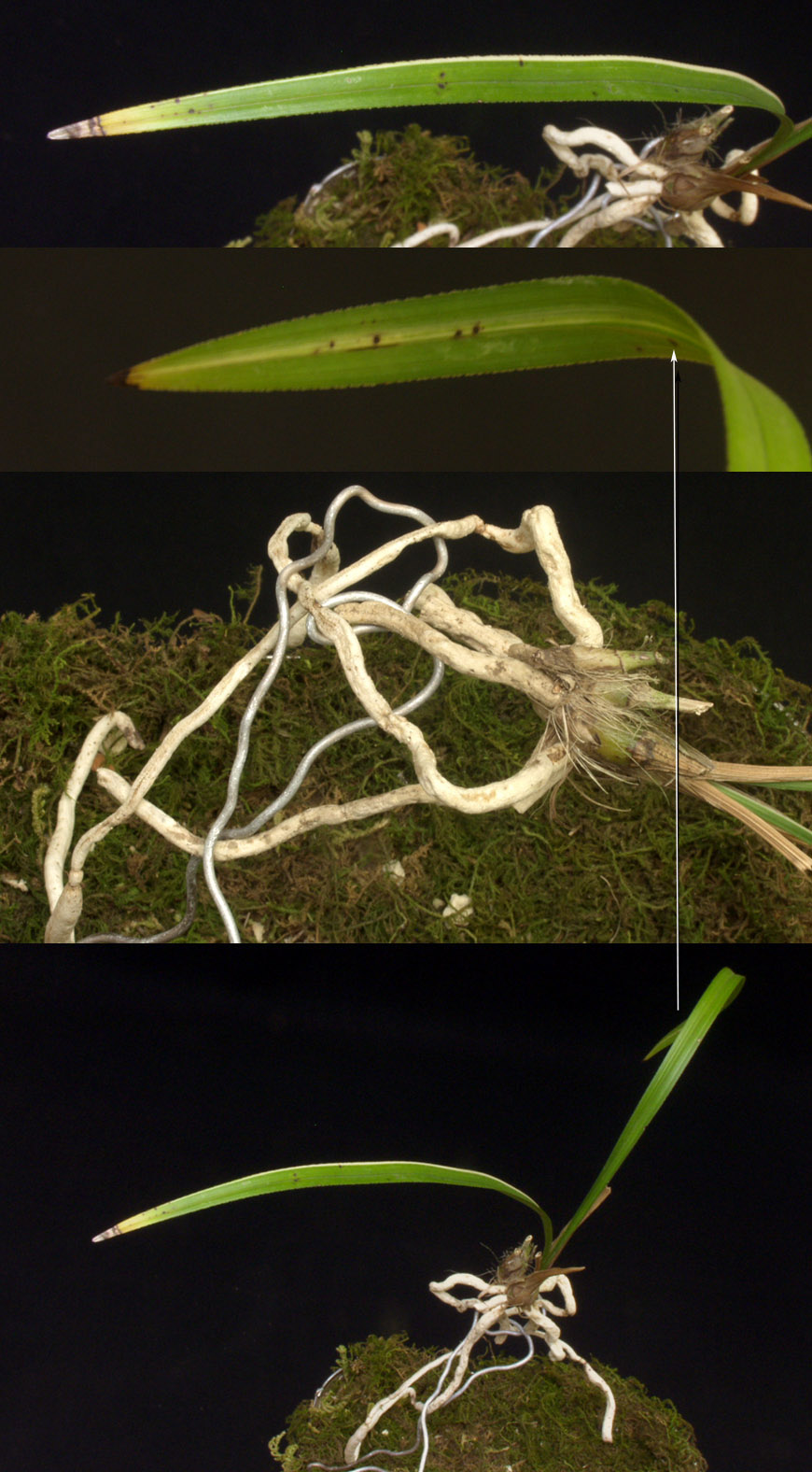 ������ ū������ �� �� �ֽ��ϴ�.