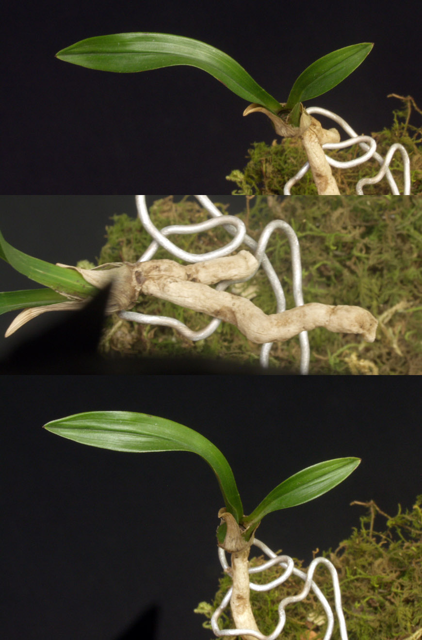 ������ ū������ �� �� �ֽ��ϴ�.