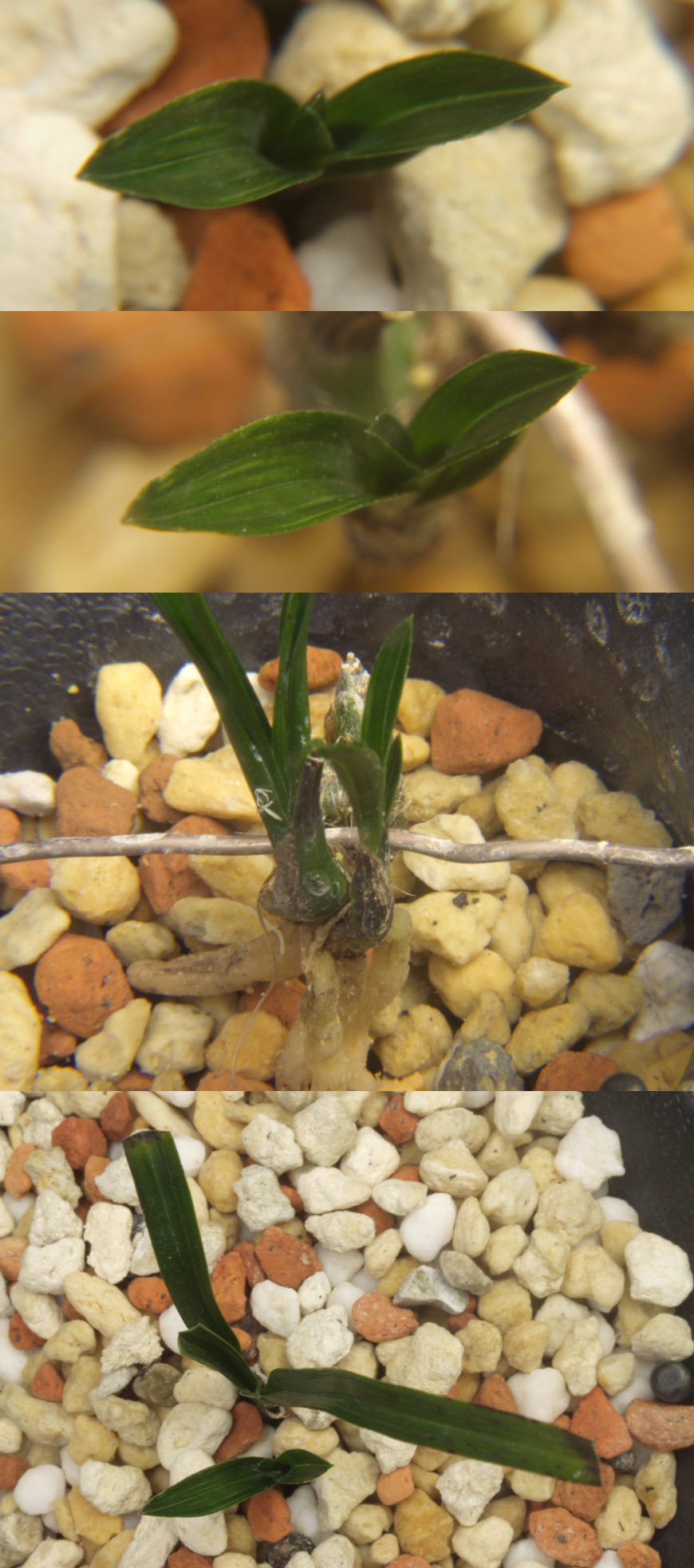 ������ ū������ �� �� �ֽ��ϴ�.