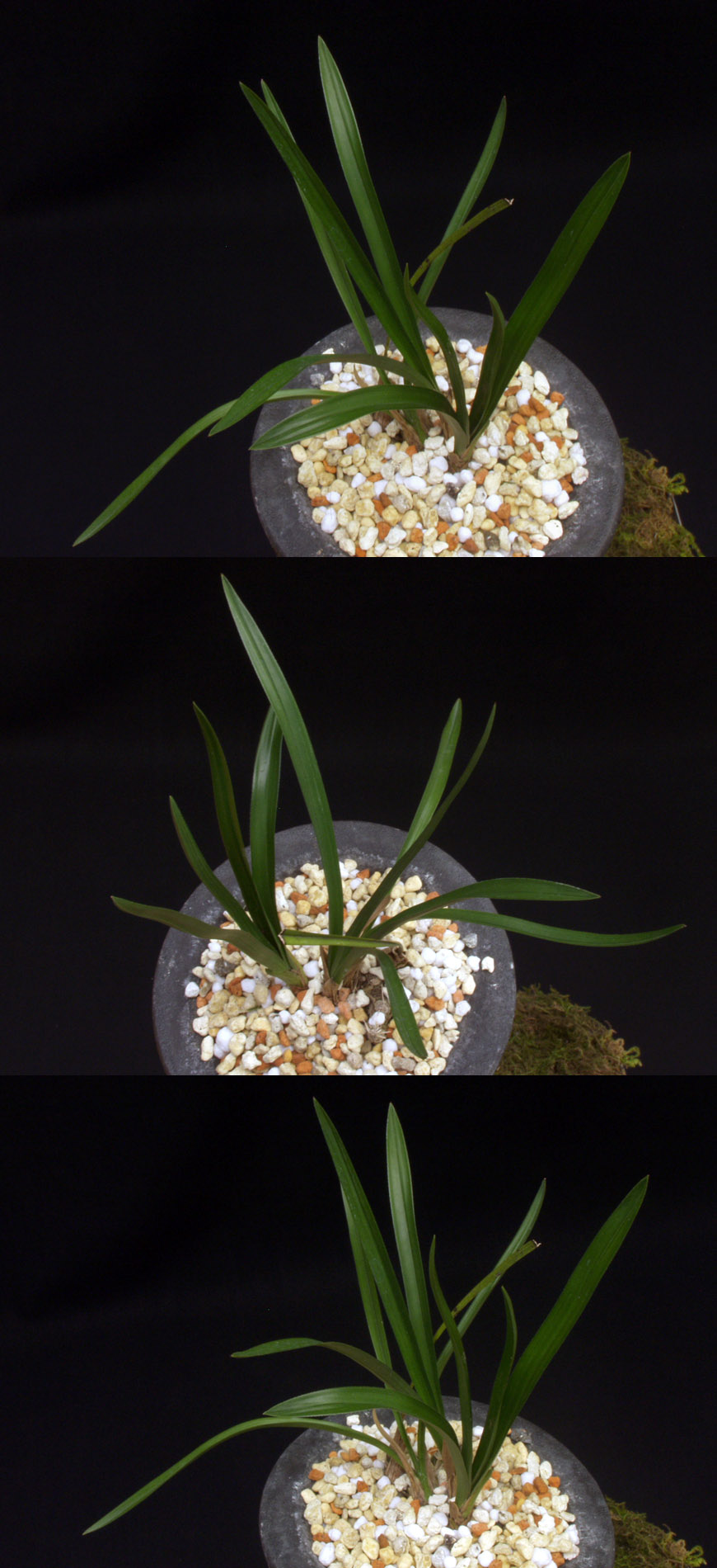 ������ ū������ �� �� �ֽ��ϴ�.