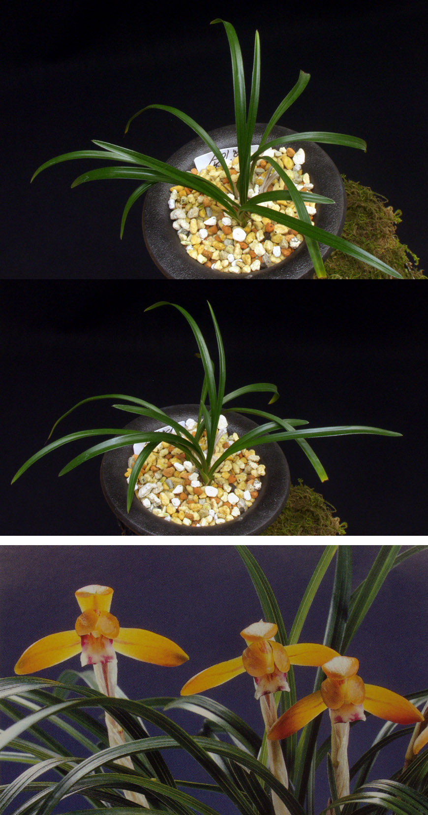 ������ ū������ �� �� �ֽ��ϴ�.