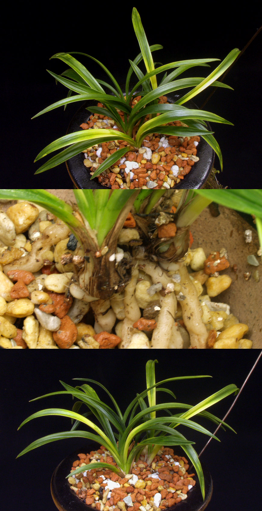 ������ ū������ �� �� �ֽ��ϴ�.