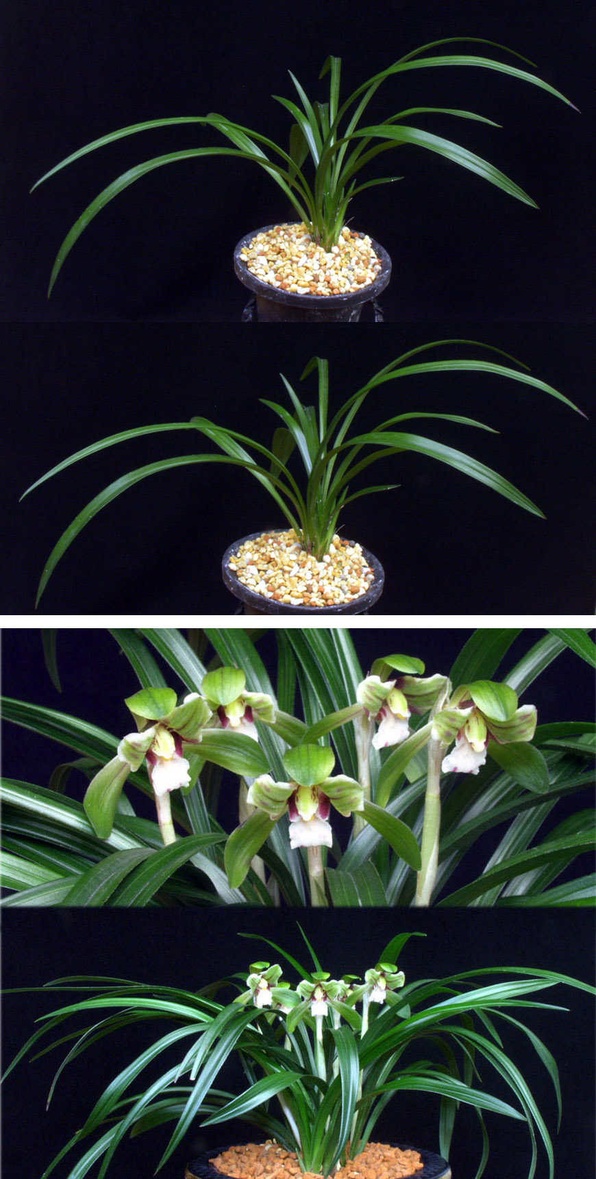 ������ ū������ �� �� �ֽ��ϴ�.