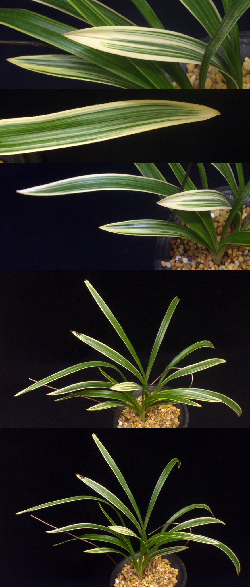 ������ ū������ �� �� �ֽ��ϴ�.