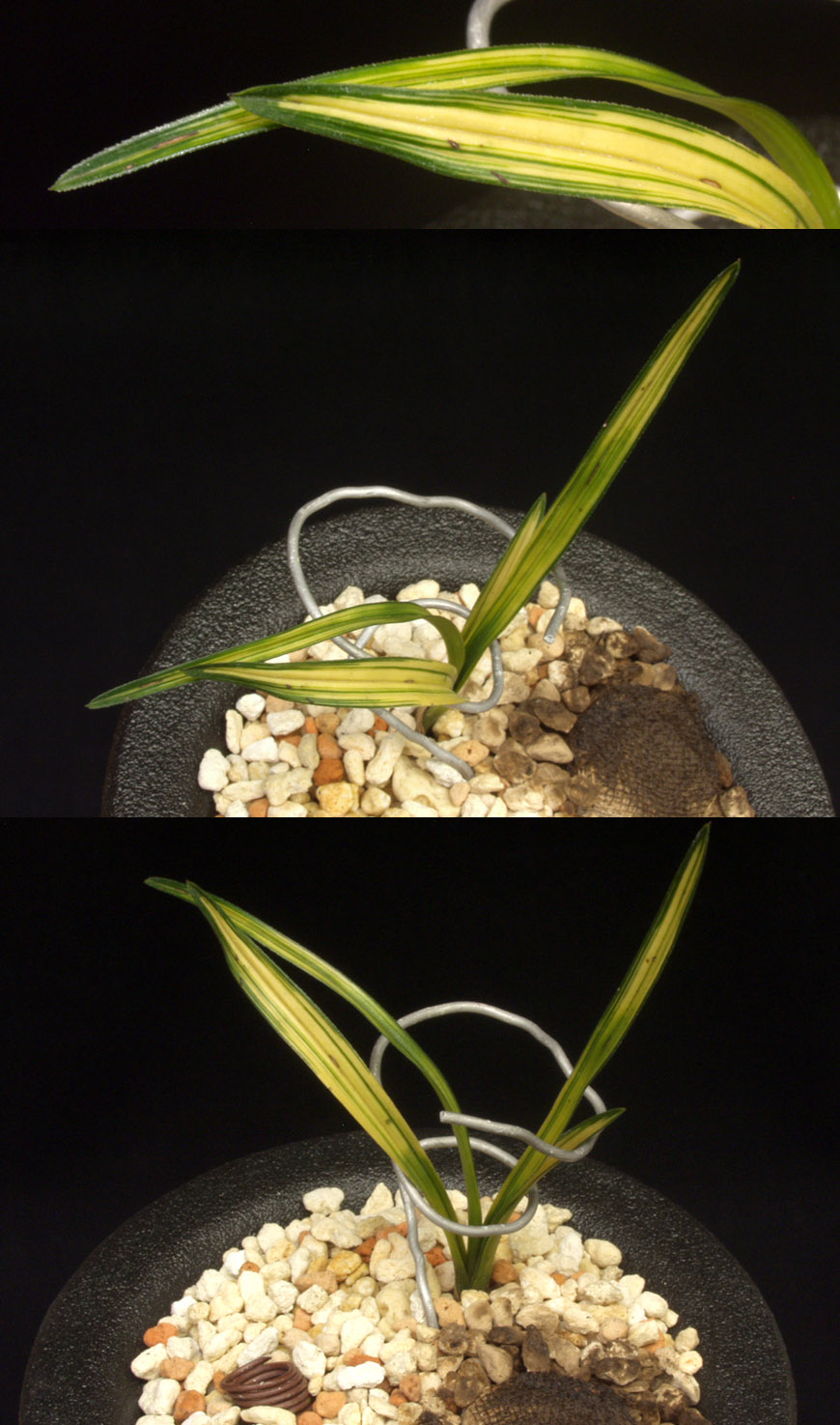 ������ ū������ �� �� �ֽ��ϴ�.