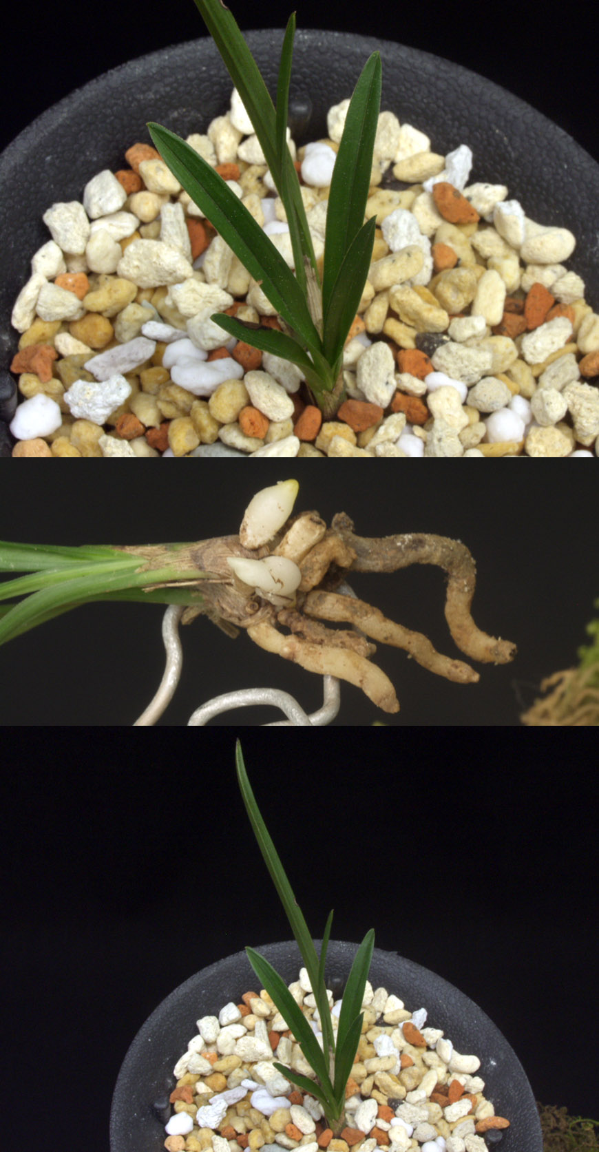 ������ ū������ �� �� �ֽ��ϴ�.