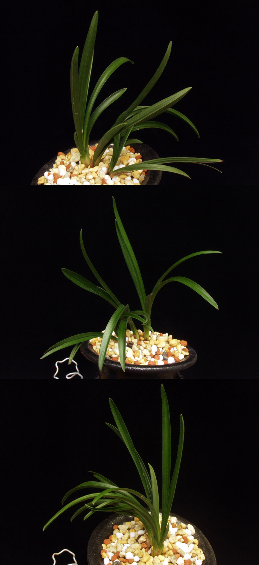 ������ ū������ �� �� �ֽ��ϴ�.