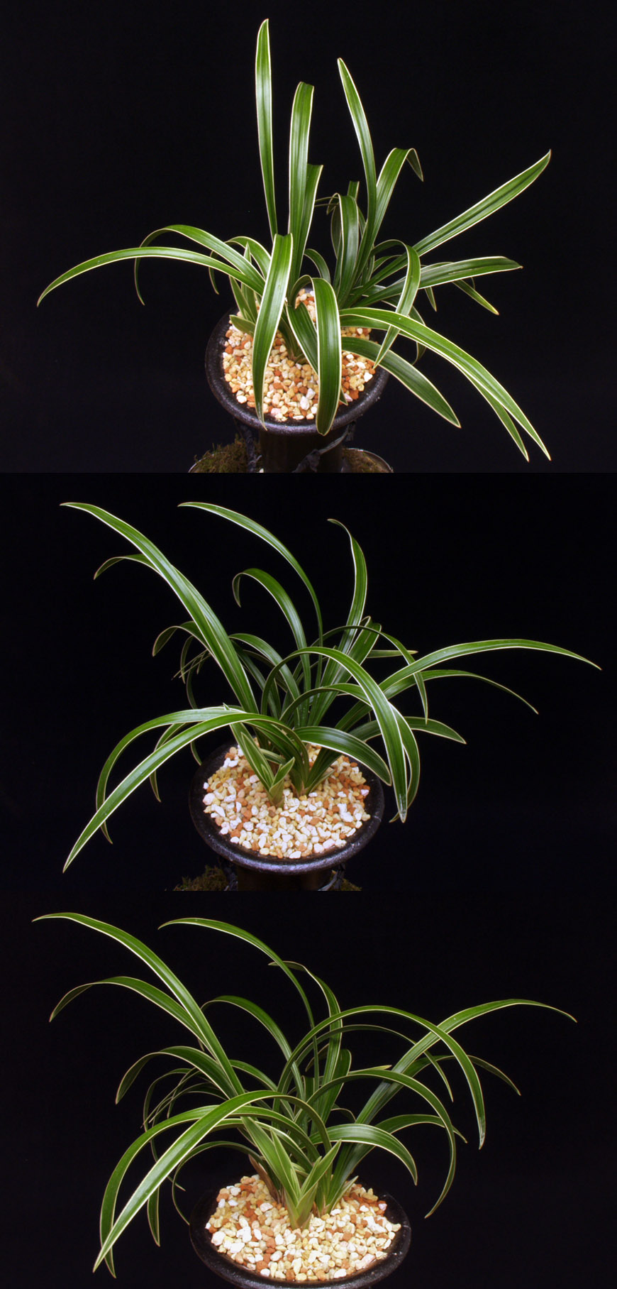 ������ ū������ �� �� �ֽ��ϴ�.