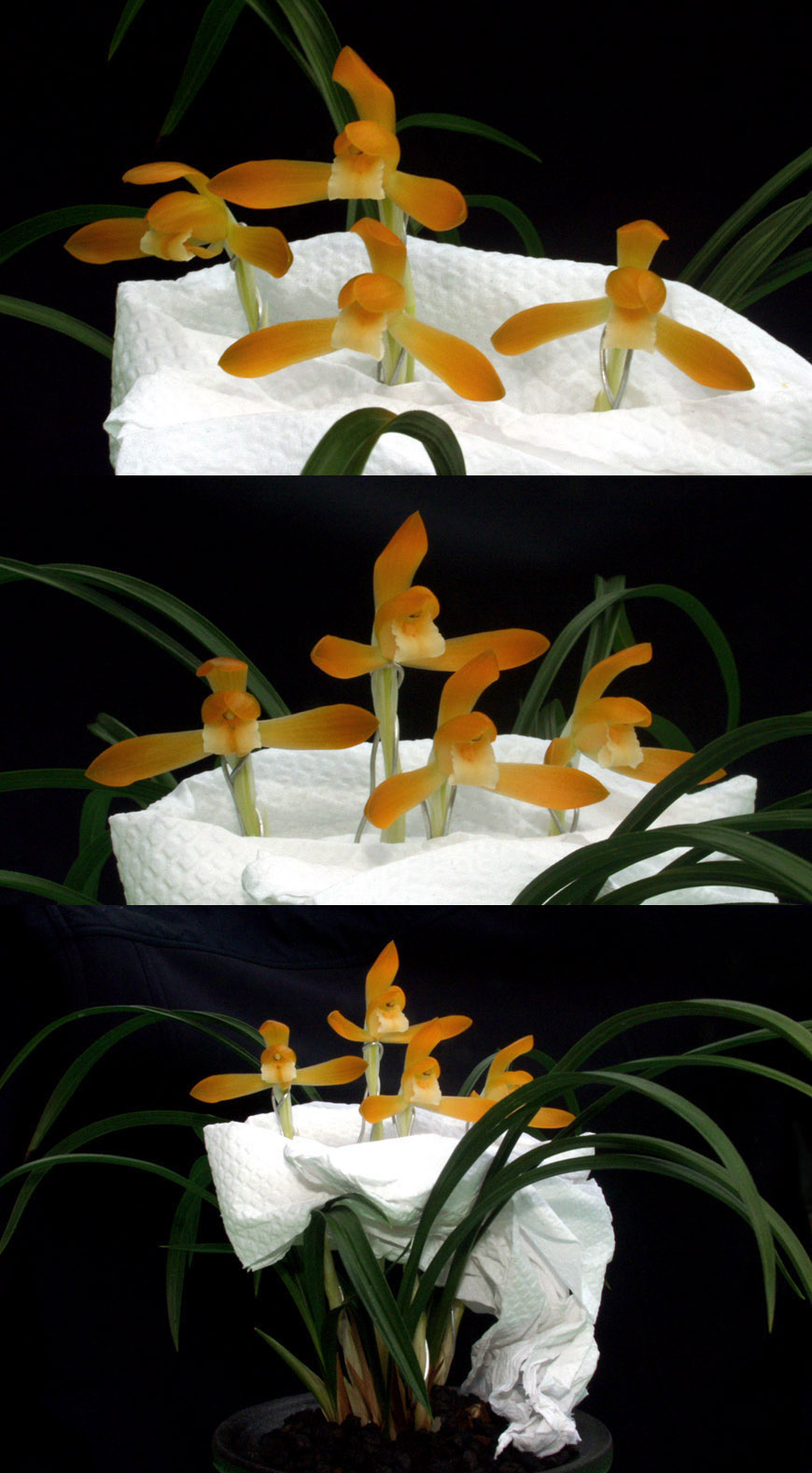 ������ ū������ �� �� �ֽ��ϴ�.