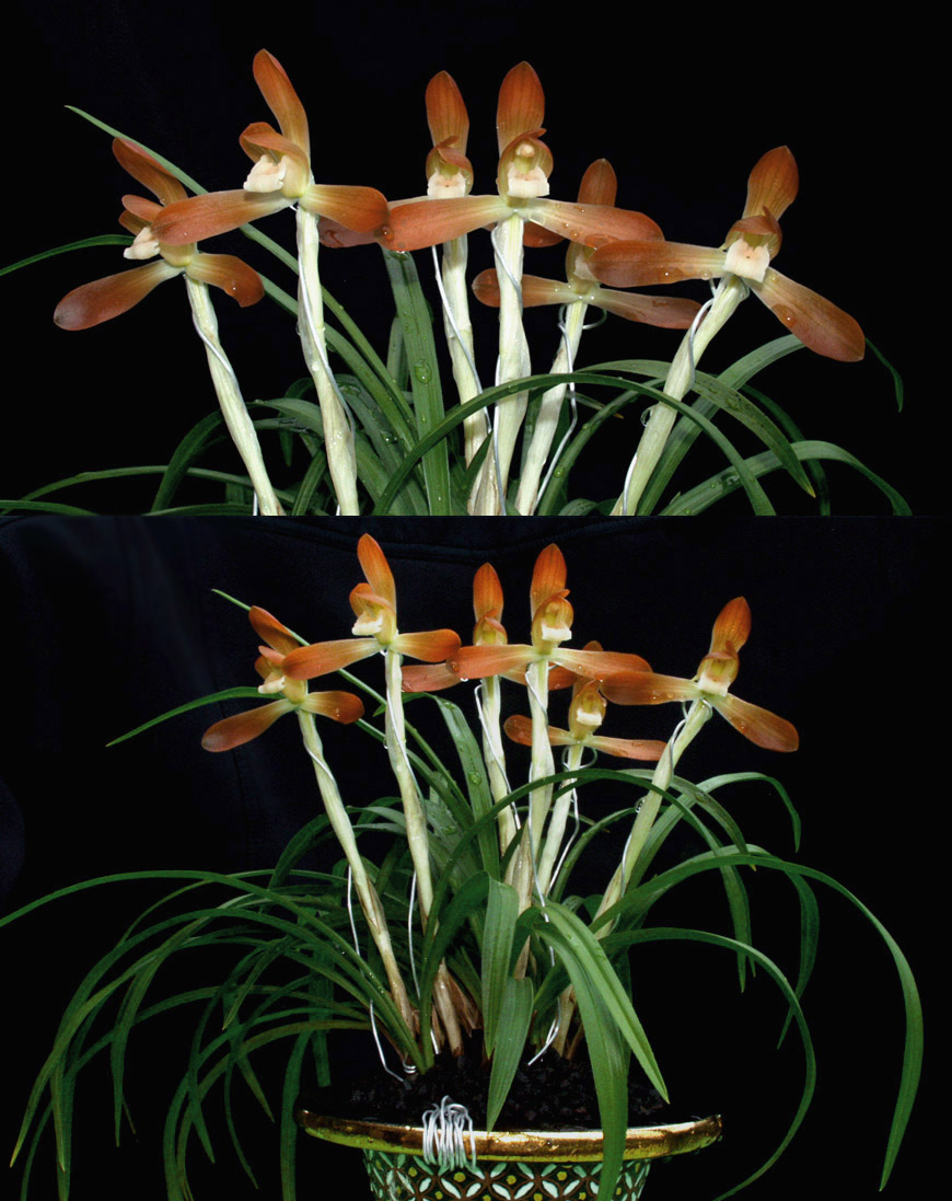 ������ ū������ �� �� �ֽ��ϴ�.