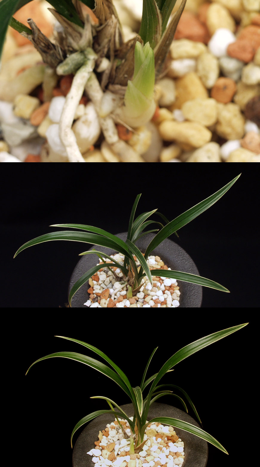 ������ ū������ �� �� �ֽ��ϴ�.