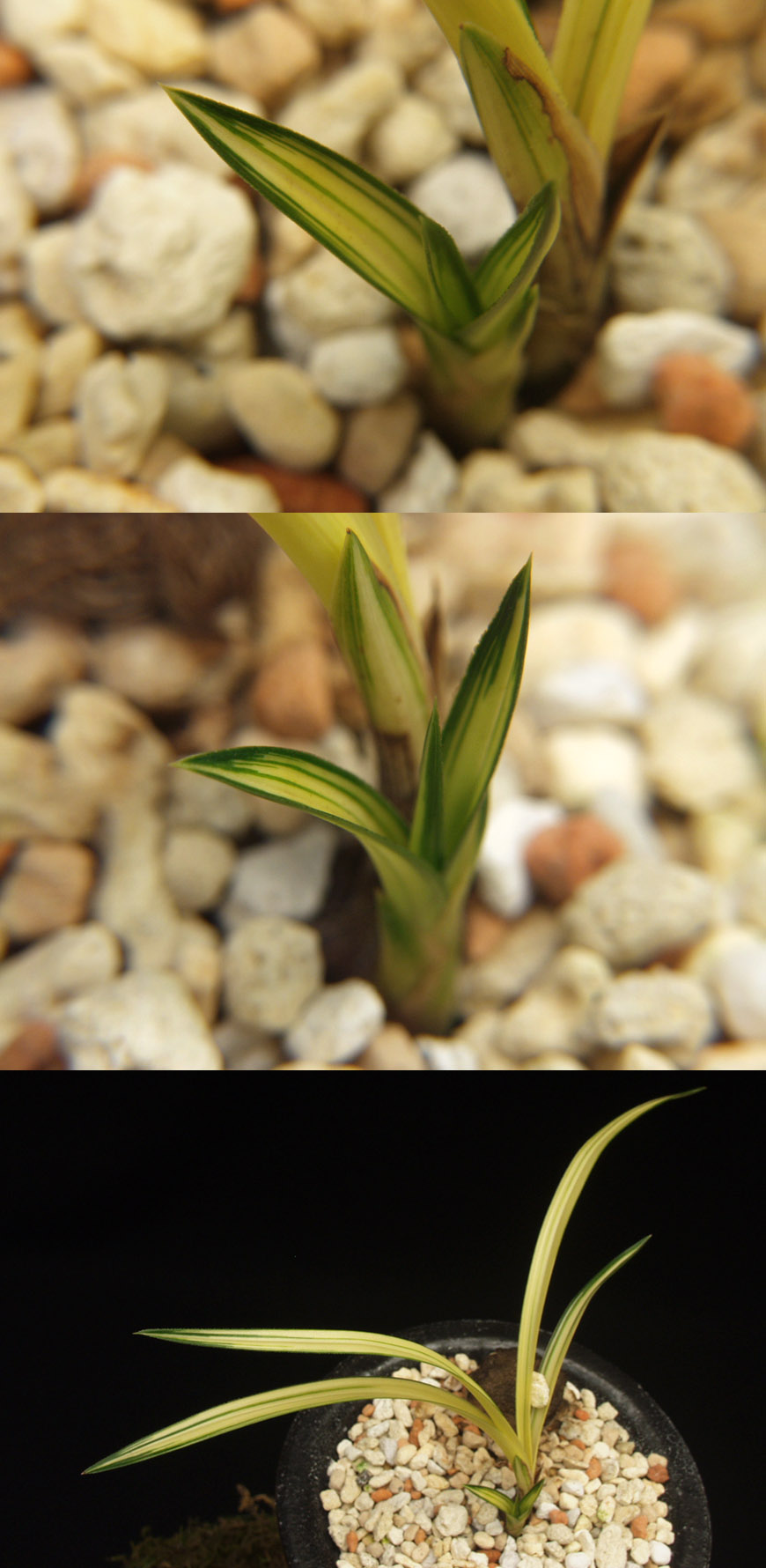 ������ ū������ �� �� �ֽ��ϴ�.