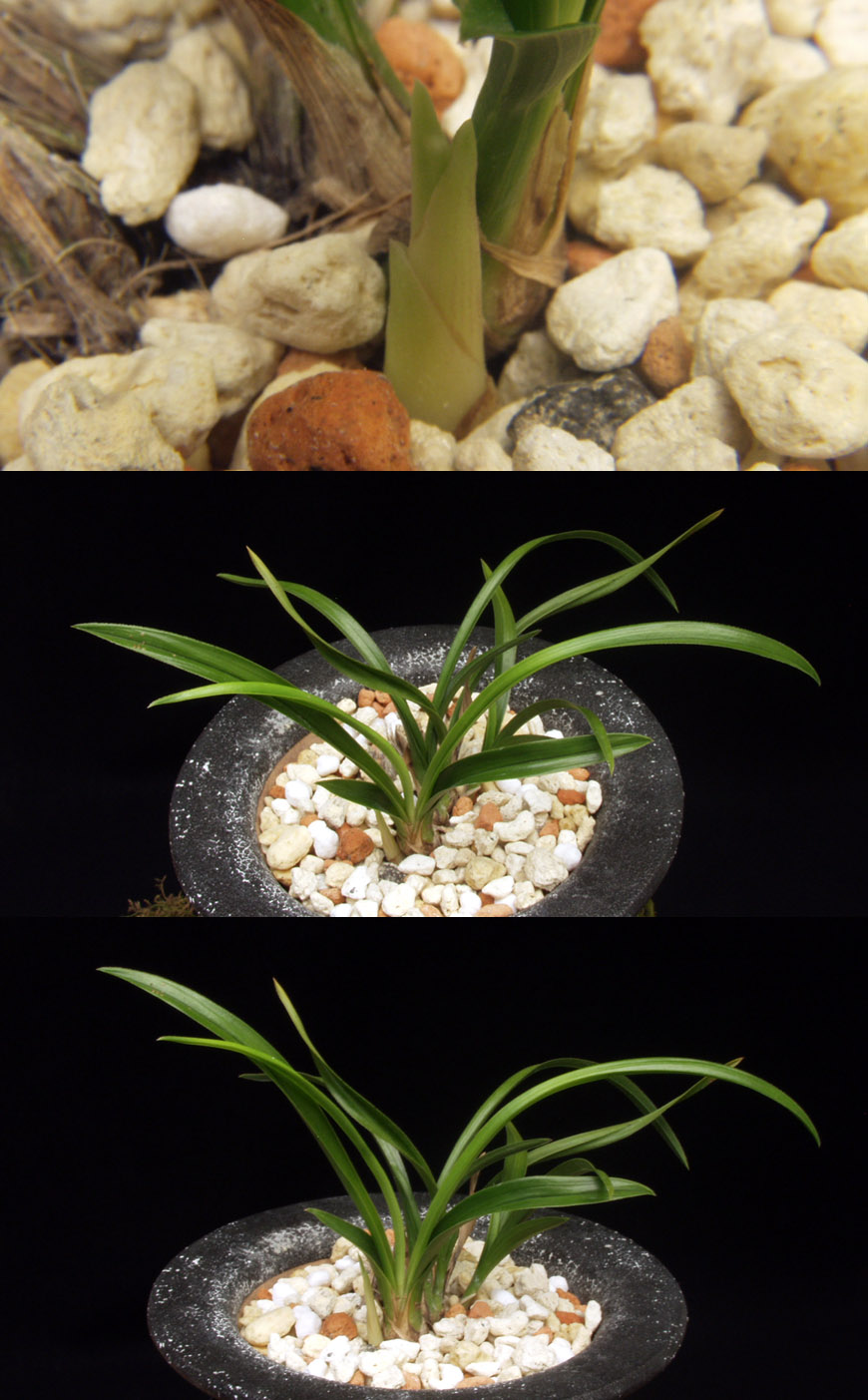 ������ ū������ �� �� �ֽ��ϴ�.