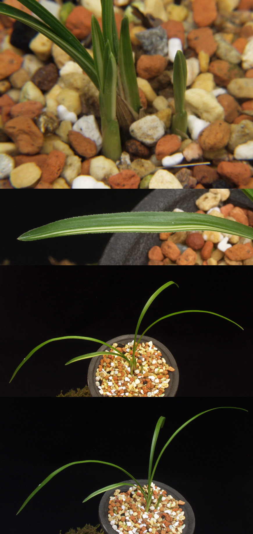 ������ ū������ �� �� �ֽ��ϴ�.