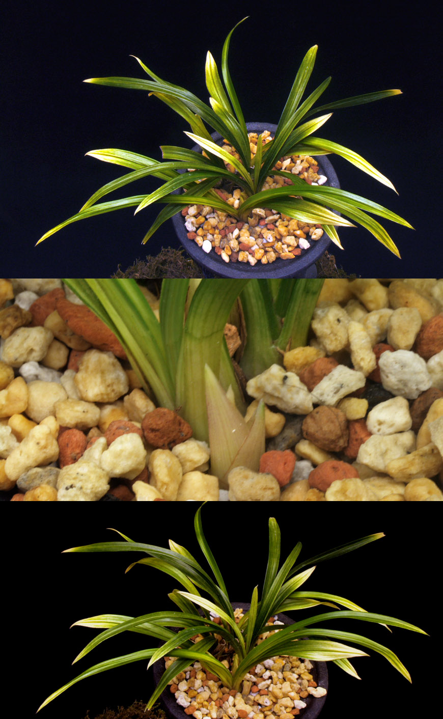 ������ ū������ �� �� �ֽ��ϴ�.