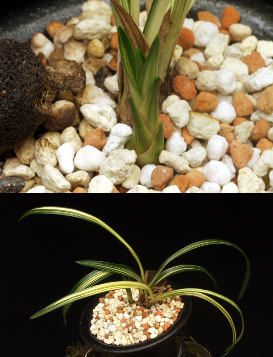 ������ ū������ �� �� �ֽ��ϴ�.