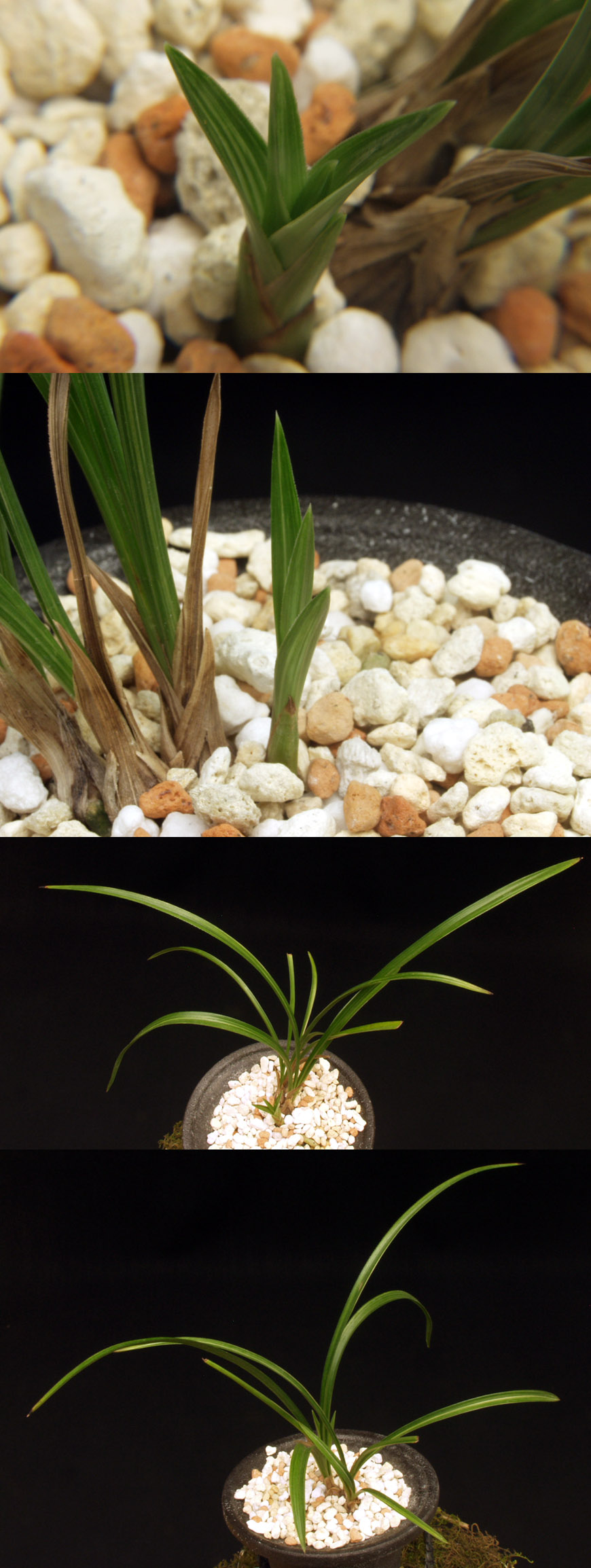 ������ ū������ �� �� �ֽ��ϴ�.