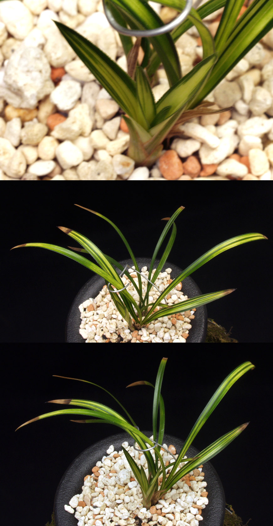 ������ ū������ �� �� �ֽ��ϴ�.