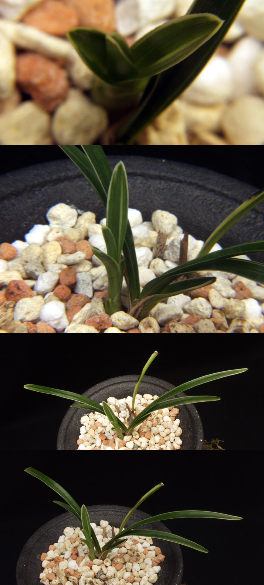 ������ ū������ �� �� �ֽ��ϴ�.