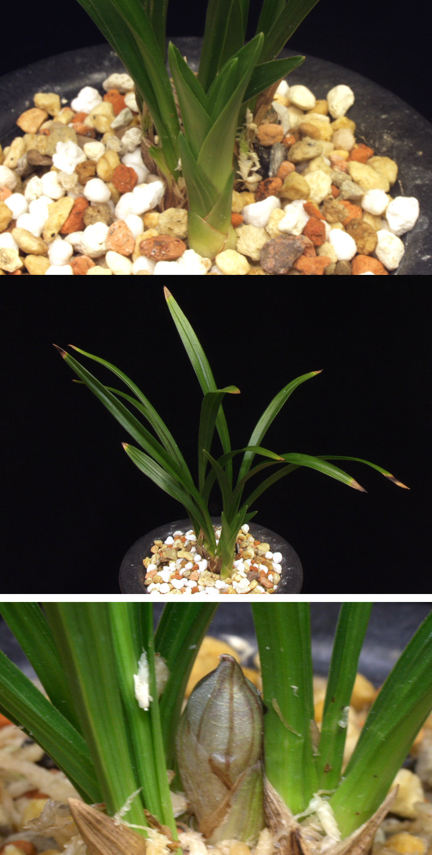 ������ ū������ �� �� �ֽ��ϴ�.