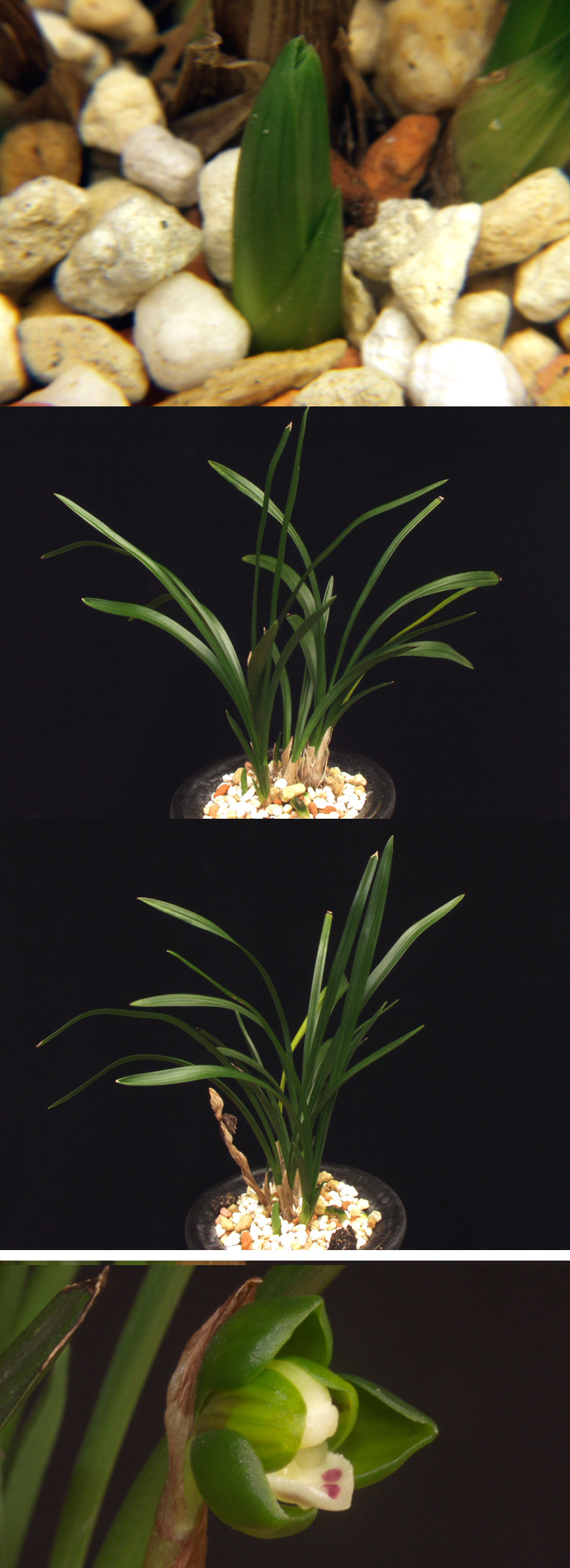 ������ ū������ �� �� �ֽ��ϴ�.