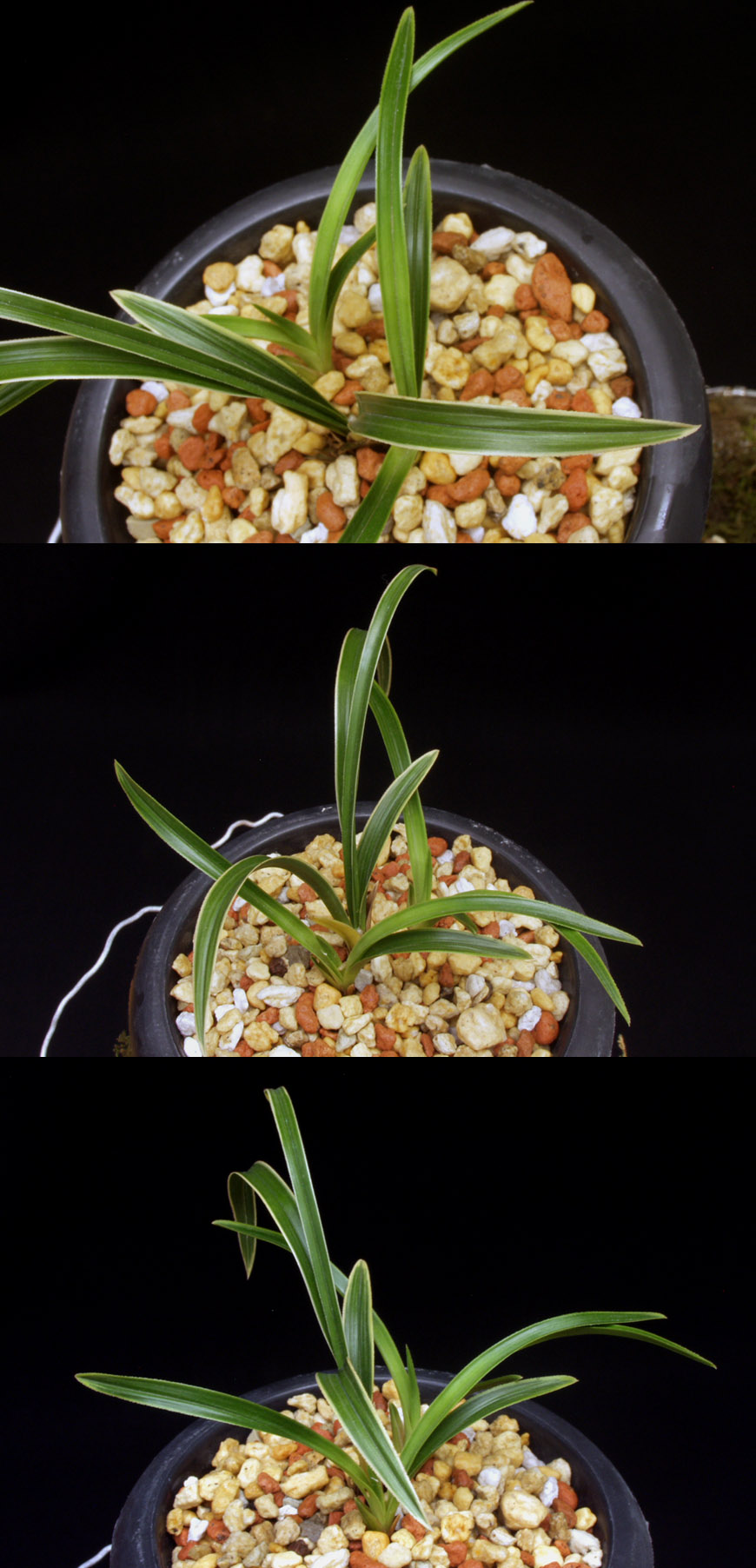 ������ ū������ �� �� �ֽ��ϴ�.