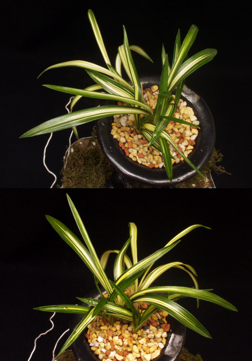 ������ ū������ �� �� �ֽ��ϴ�.