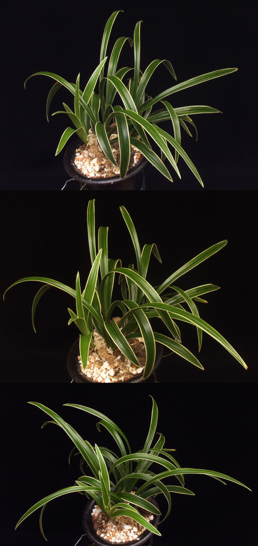 ������ ū������ �� �� �ֽ��ϴ�.