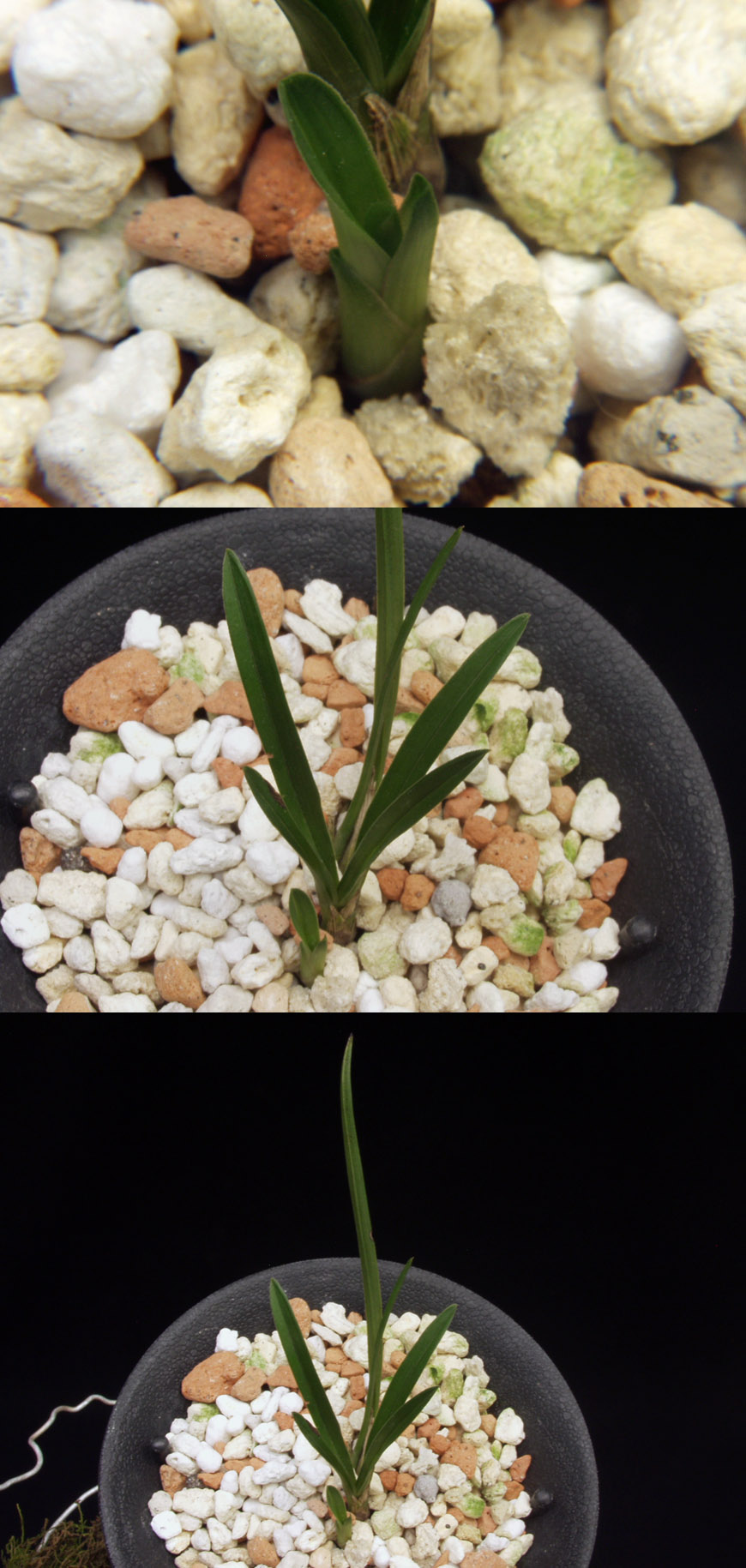 ������ ū������ �� �� �ֽ��ϴ�.