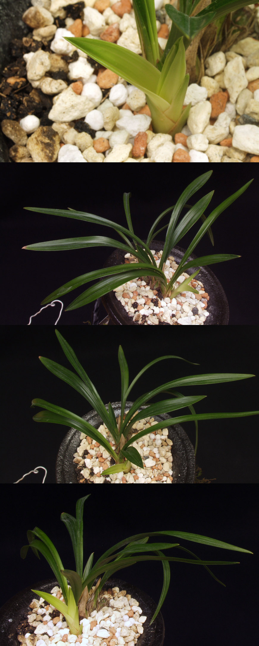 ������ ū������ �� �� �ֽ��ϴ�.