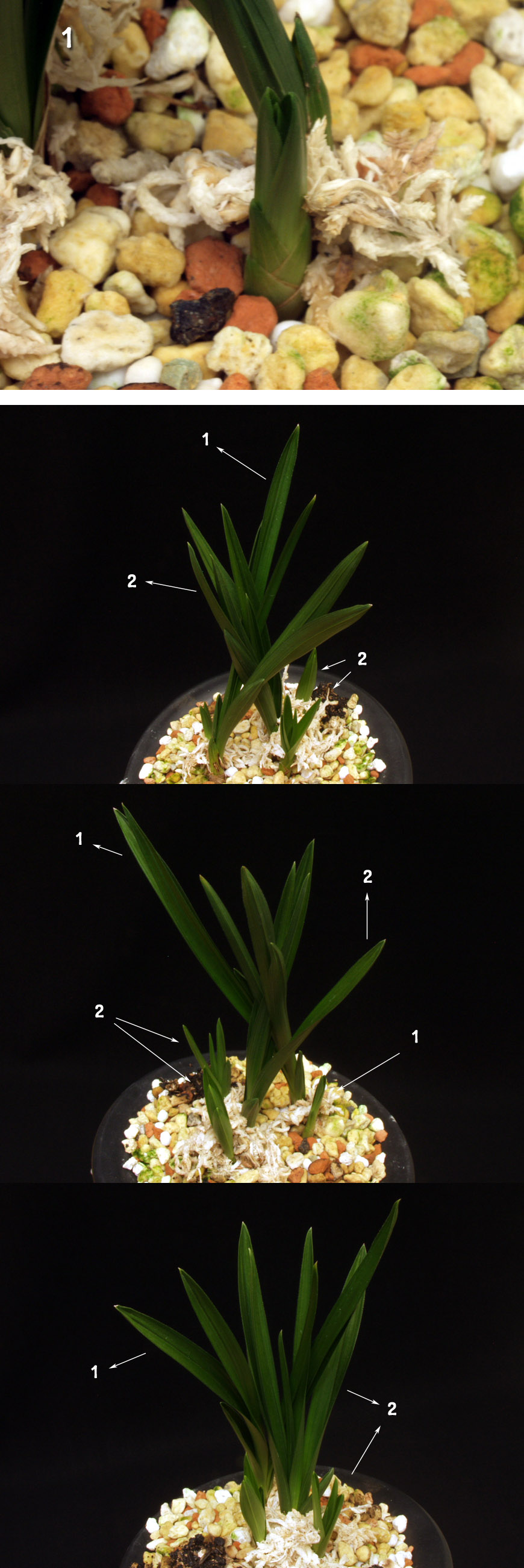 ������ ū������ �� �� �ֽ��ϴ�.