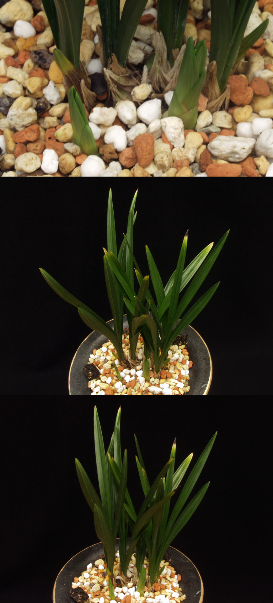 ������ ū������ �� �� �ֽ��ϴ�.