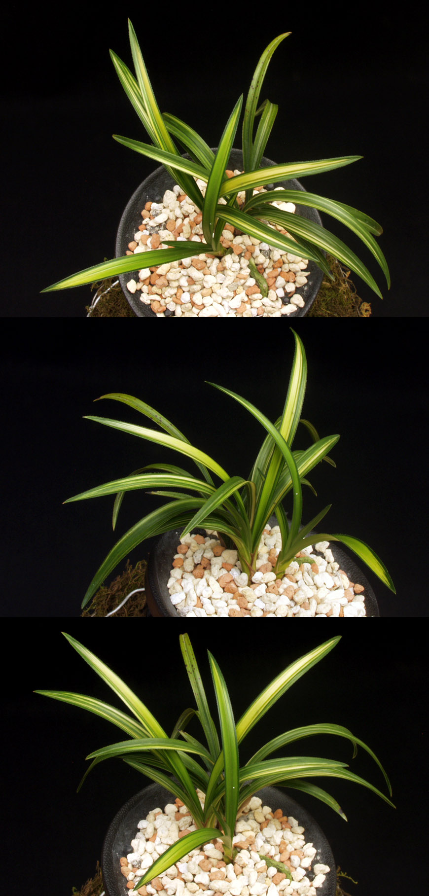 ������ ū������ �� �� �ֽ��ϴ�.