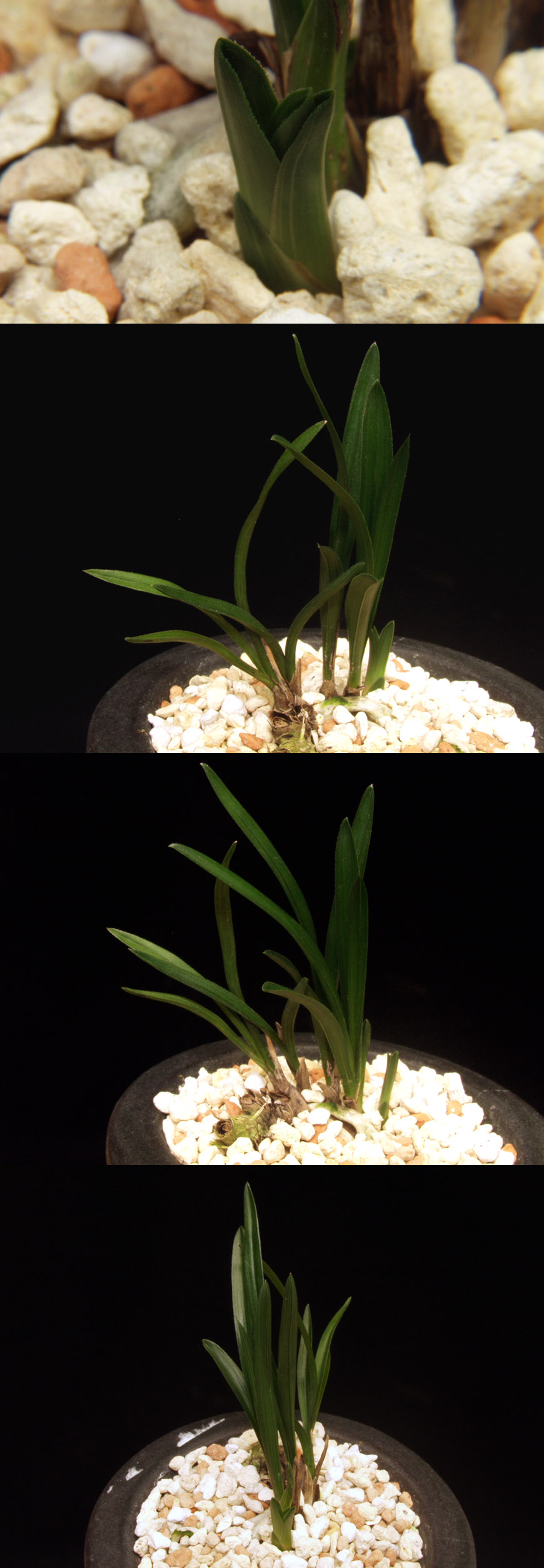 ������ ū������ �� �� �ֽ��ϴ�.